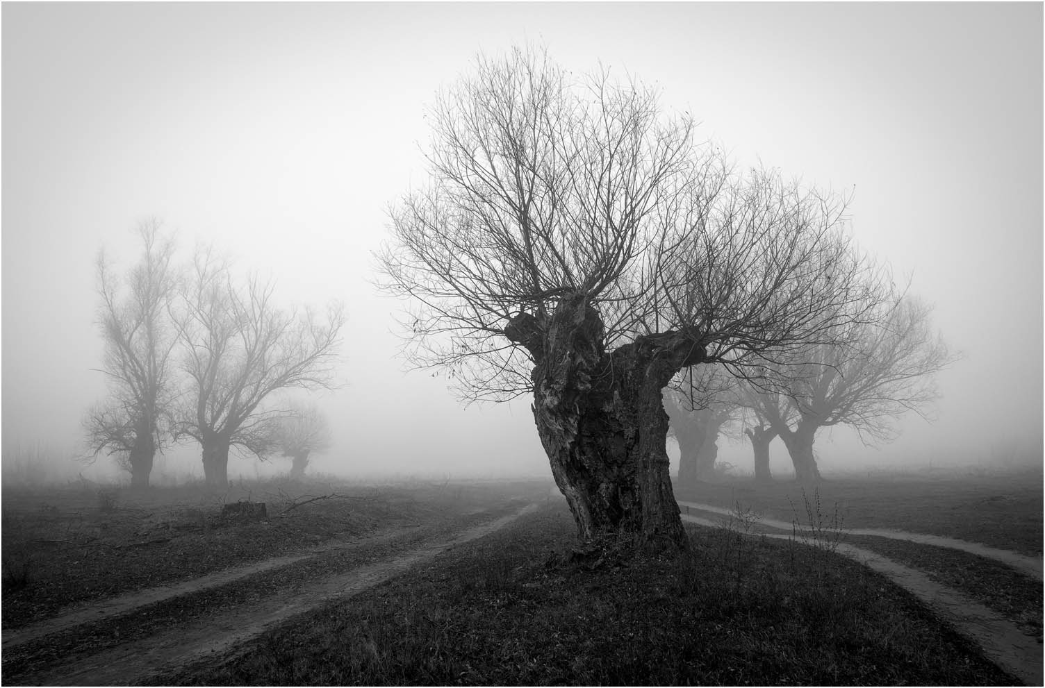 Dejan Sklopic - Magla